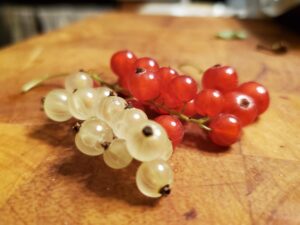 Red currants and white currants on a cutting bord