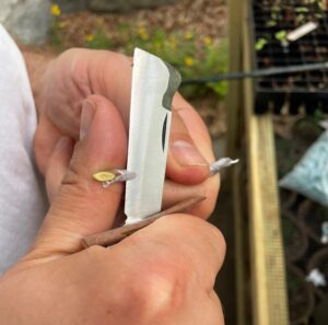 a sharp knife cuts through a twig